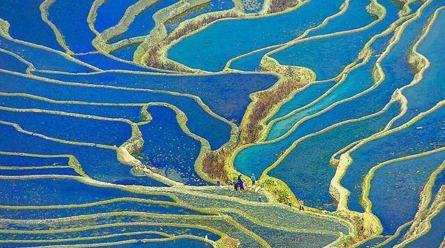 全靠20世纪80年代一些摄影家的介绍,让红河哈尼梯田壮美的自然景观