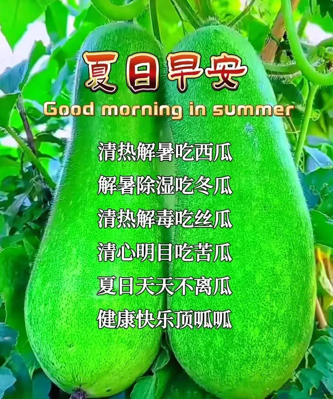 2023年7月7日周五小暑最新早安问候祝福图片带字温馨 小暑早上好问候