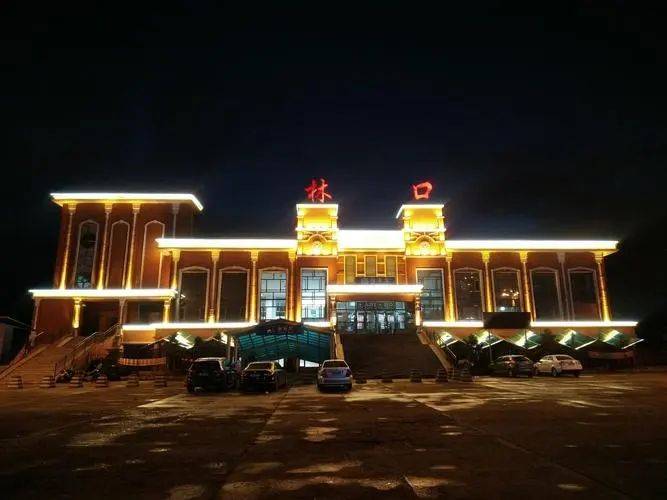 牡丹江林口县卫生健康局招聘乡村医生招聘4人公告_人员_资格_附件