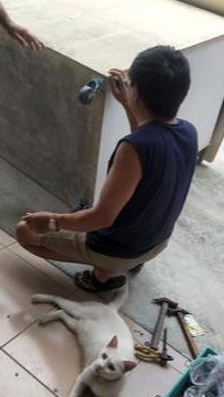 七年前怒斥女儿干嘛养猫，现在为它做别墅，还说自己是最爱猫的