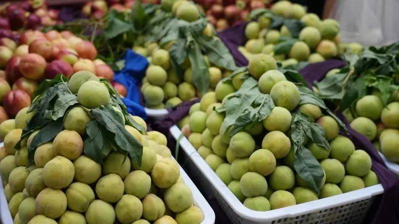 满满夏天的味道~_桃子_卡勒维_和田