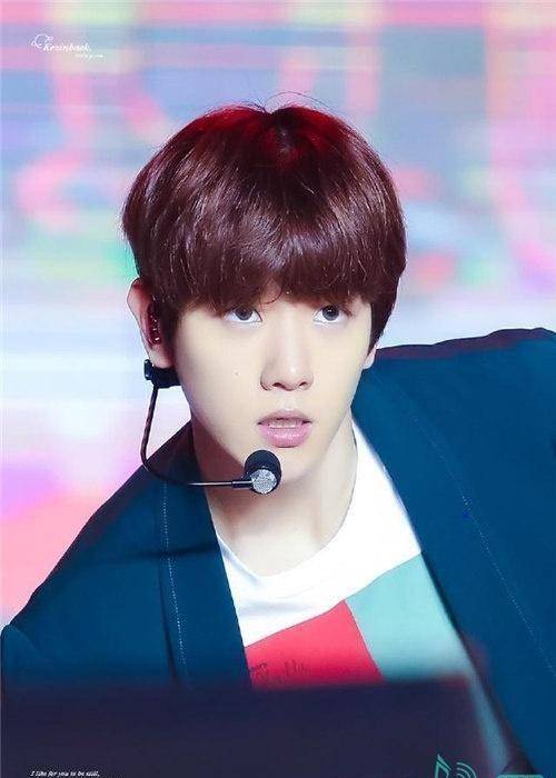 exo伯贤,是男神,也是爱丽们的贴心小棉袄!_专辑_销量_哥哥