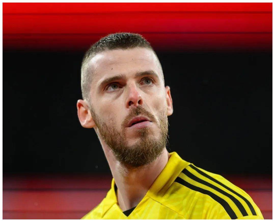 德赫亚告别曼联_红魔_球员_荣誉