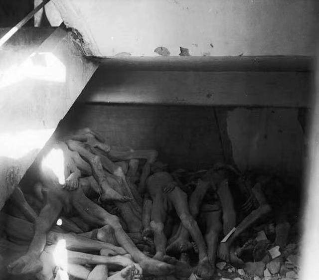 因此也让欧洲人万分痛恨犹太人,最终犹太人的浩劫还是来了