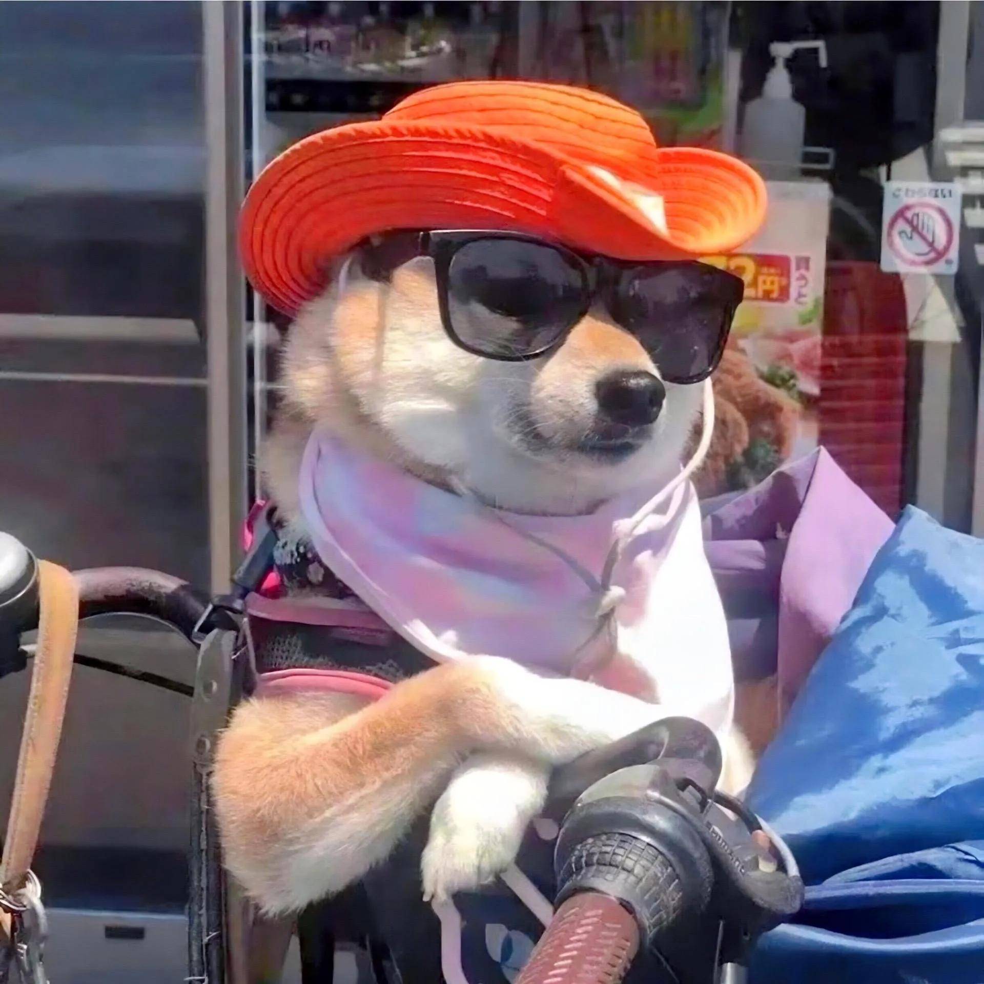 成熟男头像 - 朋友圈个签励志情绪文案馆 - 生而俗人 - 喜欢金钱和