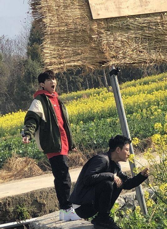 《哈哈农夫》新路透,贾乃亮乡间嗅花心情靓,王源哈欠连天超可爱_生活