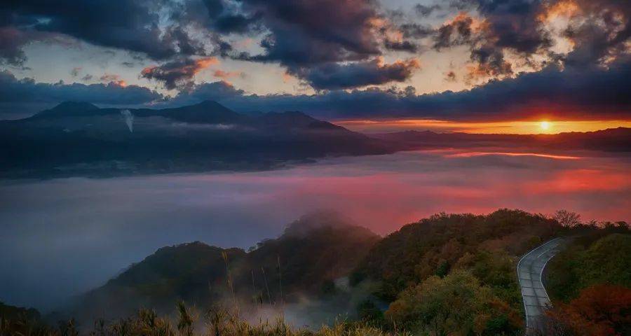 下半年家电市场的价值增长点已经出现-家电圈官网