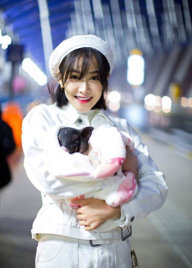 陈伟霆家狗狗被抱着睡住湖景豪宅,宋茜家宠物猪更时髦_泰迪_服装_白色