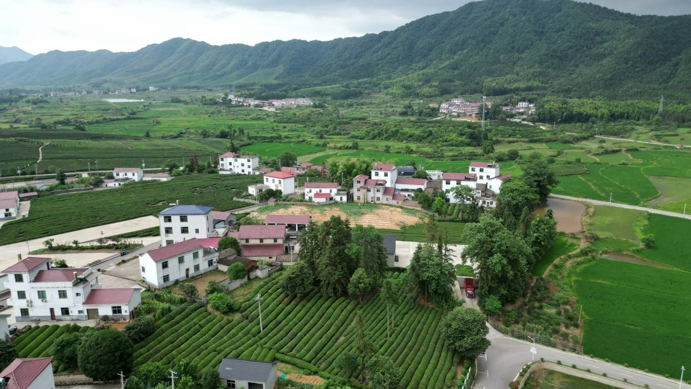 罗磊做市商 寒溪村_浮梁_大地_无人机