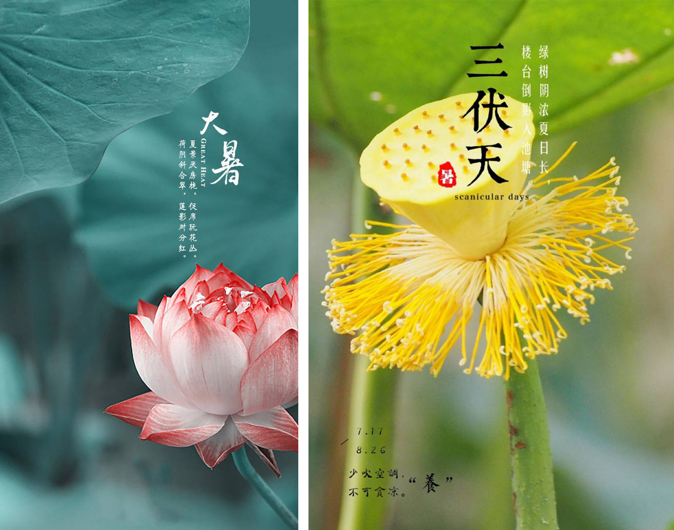 二十四节气大暑丨盛夏烈日,万物繁盛,生机勃勃_逝者_习俗_天气