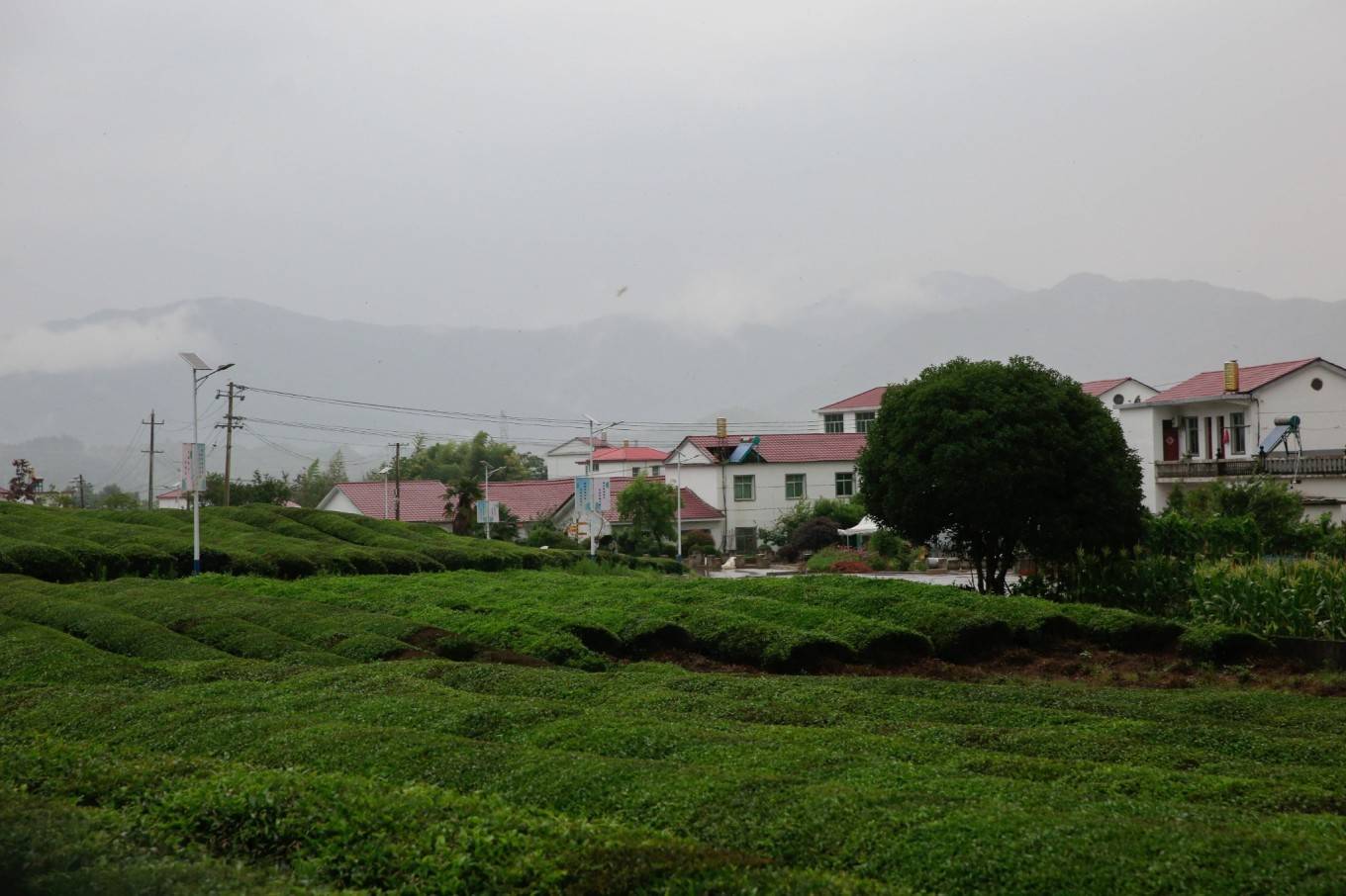 罗磊做市商 寒溪村_浮梁_大地_无人机