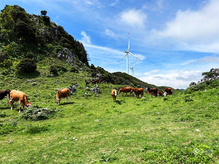 来大理宾川乌龙坝邂逅一场山野烂漫