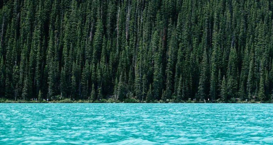 今年下半年起家电产业走势将全面企稳-家电圈官网