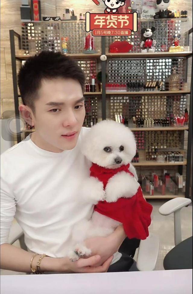 李佳琦家的狗主子,刚飘红就把妹妹咬了_never_狗狗_观众