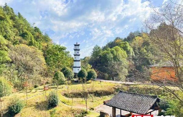 醴陵沩山镇:望仙桥水库与沩山的"绿色协奏曲"_生态_周边_保护区