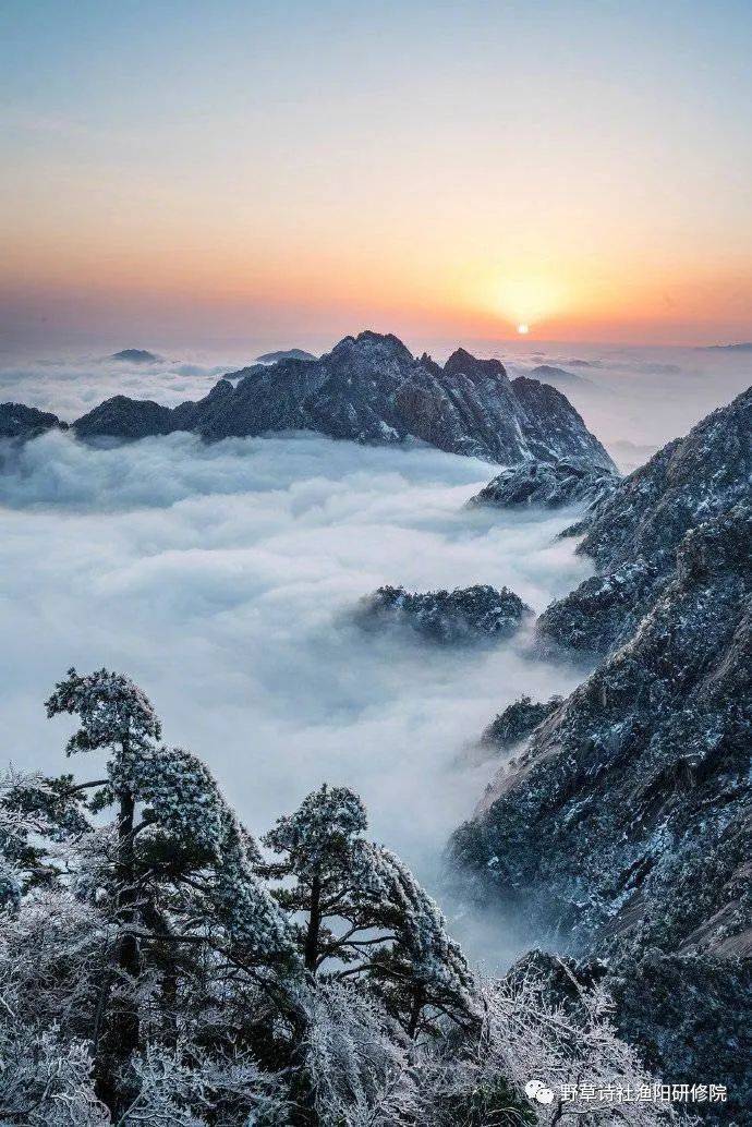 放歌"中华大美山河"之"华山"||中楹联野草诗社第八院微刊(总第144期)