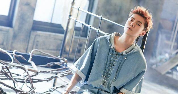 不要过度贬低小鲜肉这一群体,他们只是缺少引导_鹿晗_蔡徐坤_看法