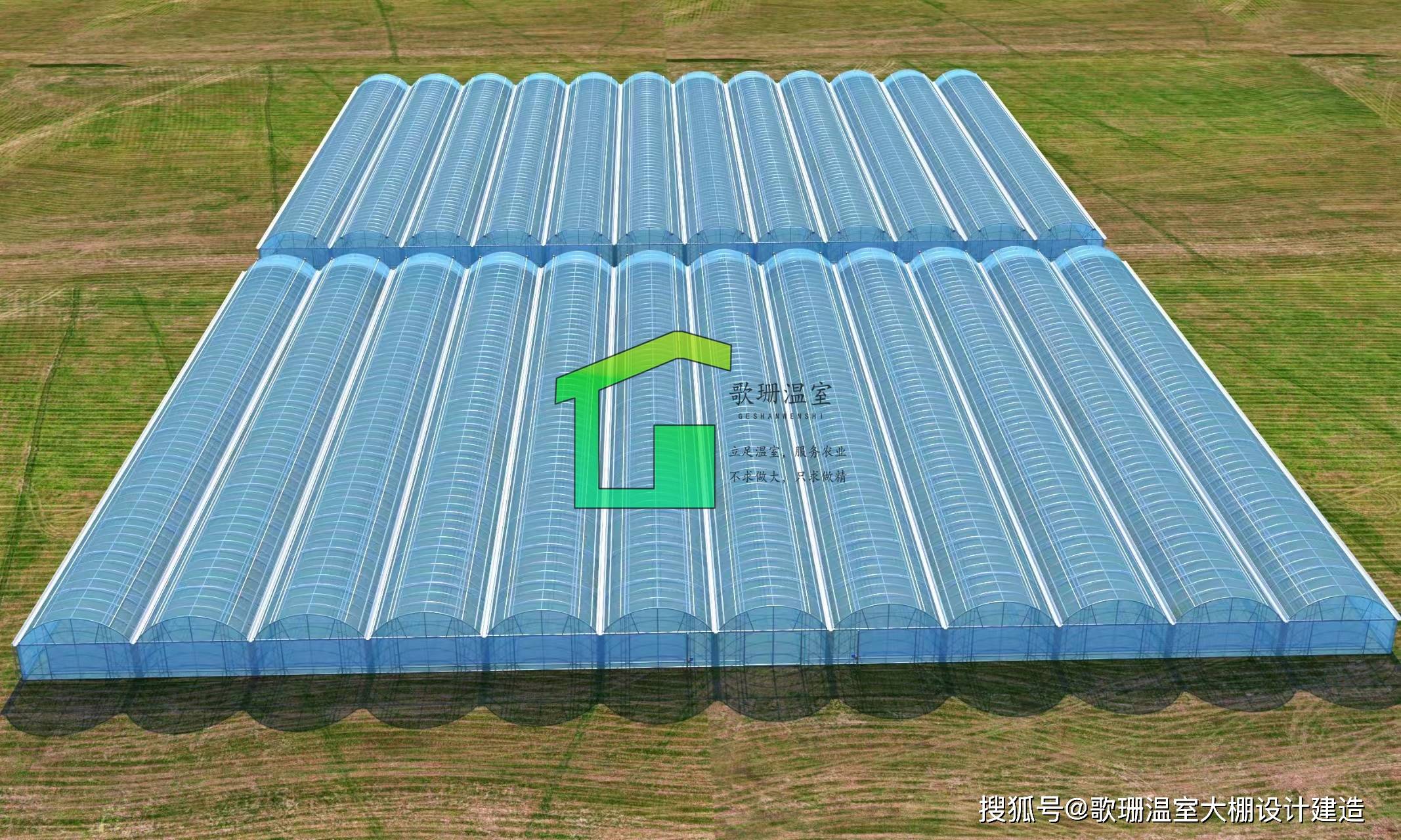 【歌珊温室】青岛市四栋连栋葡萄避雨大棚设计效果图_开间_影响_总