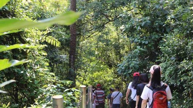 蓝天下的北岭山森林公园真美!登高正好!_肇庆_市民_登山