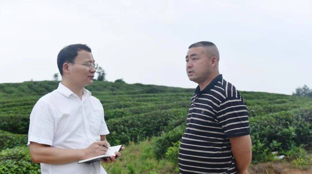 种植“e”贷普惠赤壁万里茶道-普惠e贷是哪个银行