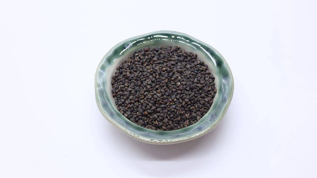 这味中药效用非常_治疗_茯苓_稀饭