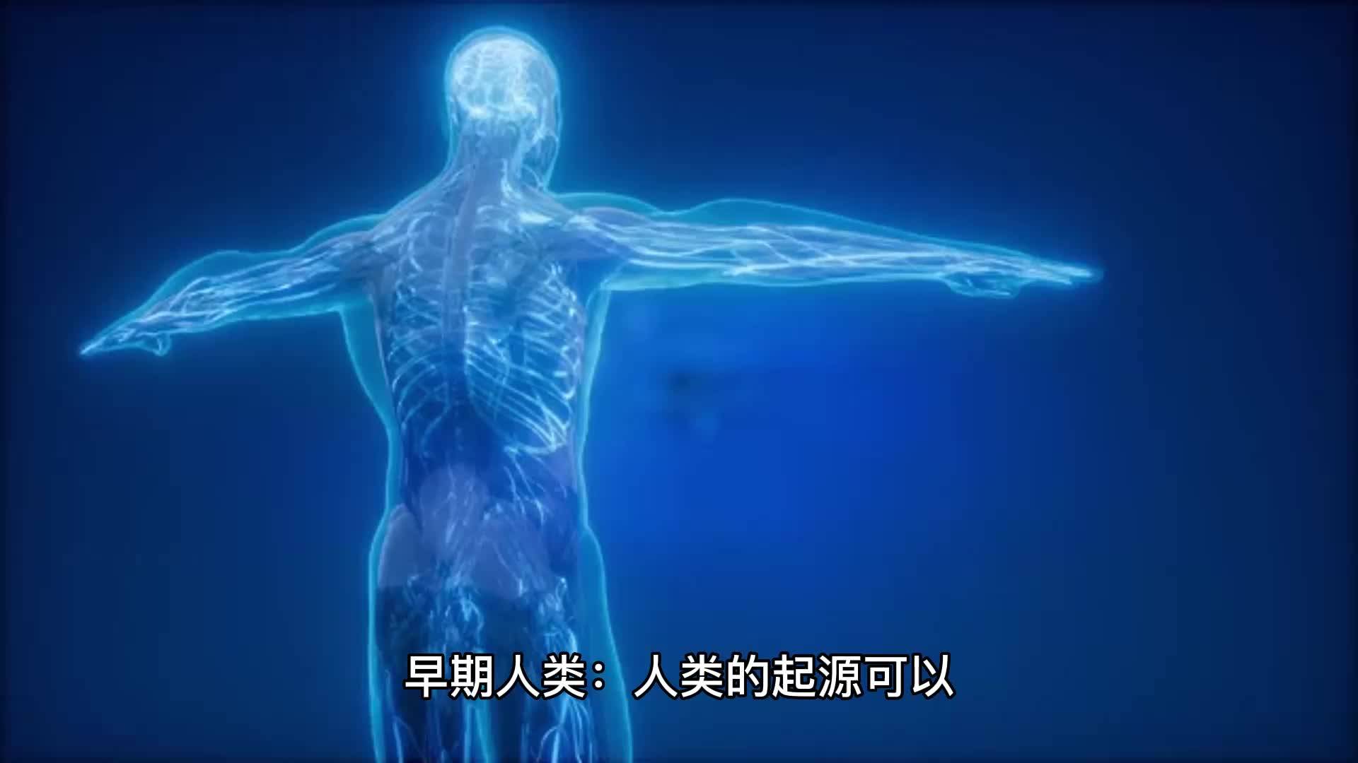 人类文明的起源与演进:世界历史的长河