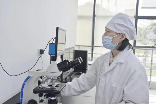 恪守质量红线,葵花药业董事长关玉秀以高品质产品回馈消费者_药品