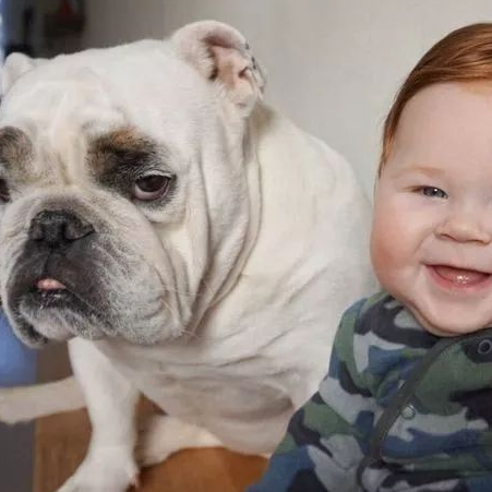 狗狗与萌娃,超治愈组合!_守护_爸妈_朋友