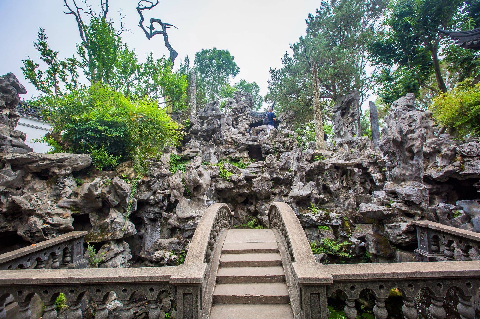 苏州狮子林,姑苏城中唯一一座禅意园林,这里是奇巧的假山王国