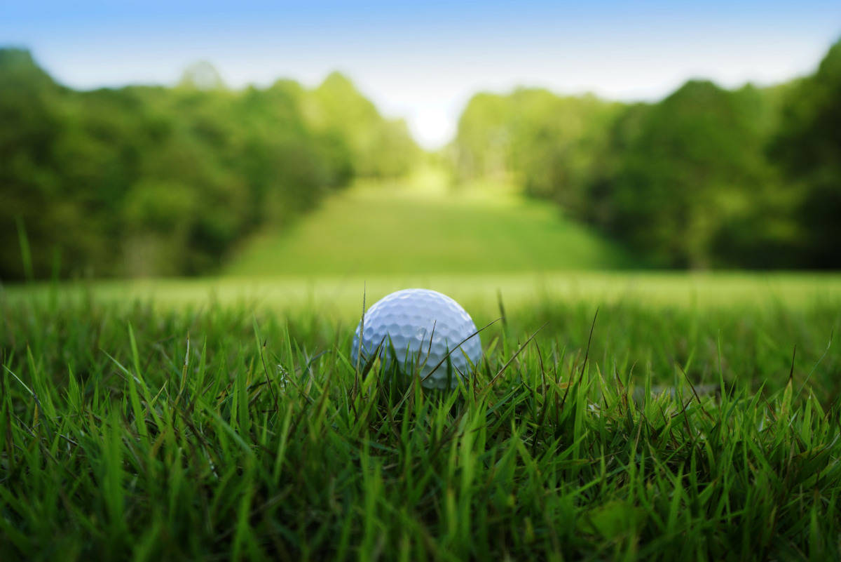 高尔夫球场仿真草坪:为运动爱好者打造绝佳体验_球员_球道_设计