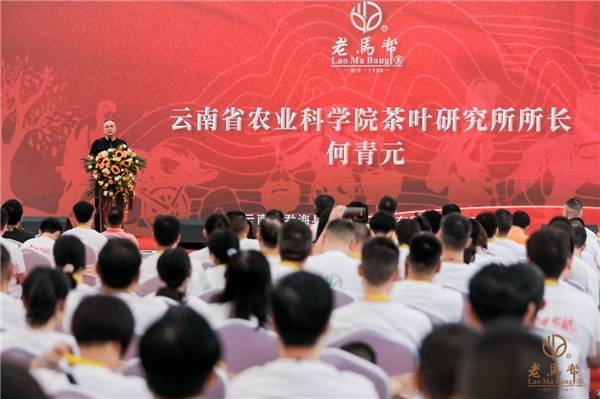 老马帮“庄园启航+七星孔雀发布暨品鉴会”点燃高端普洱消费信心