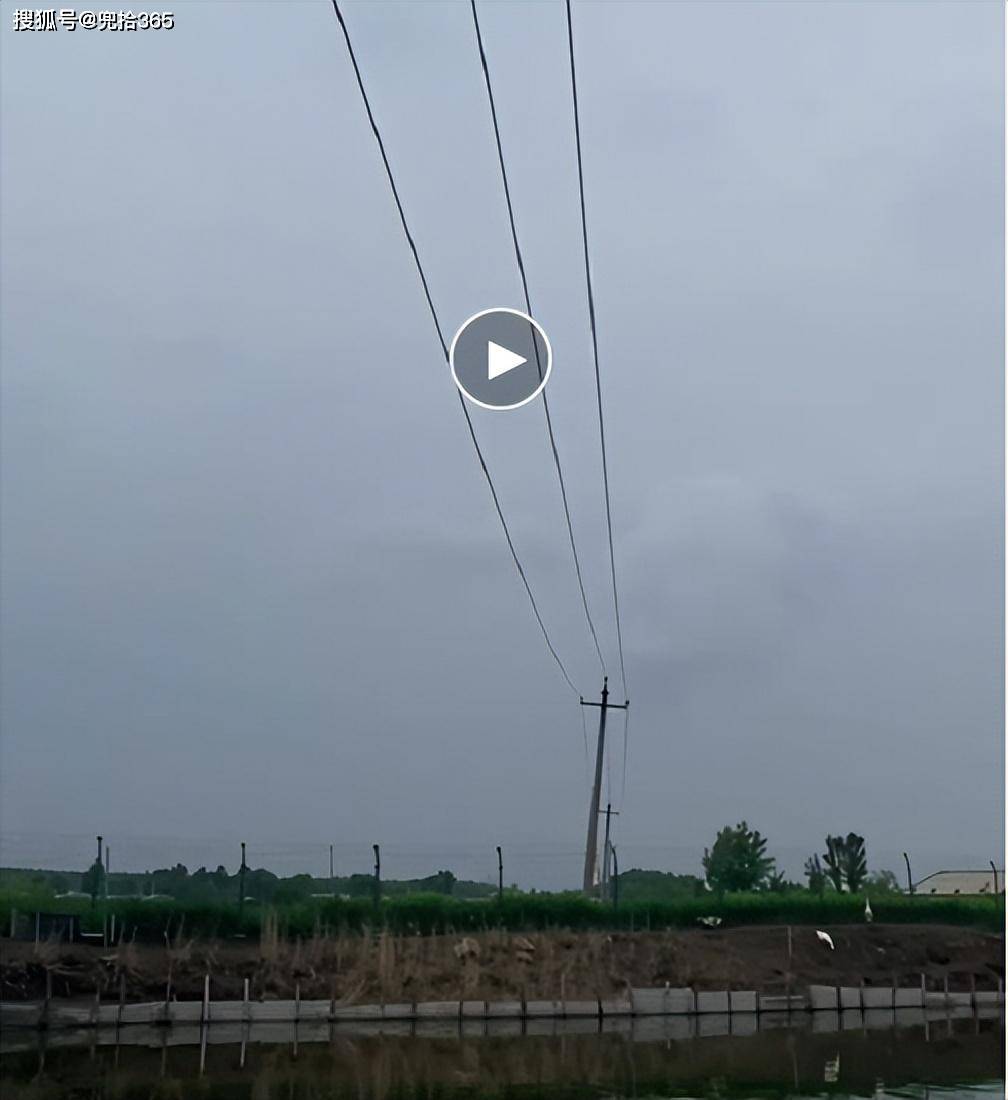 钓鱼时触电身亡,父母告电力公司索赔121万_段宏楠_鱼塘_生命