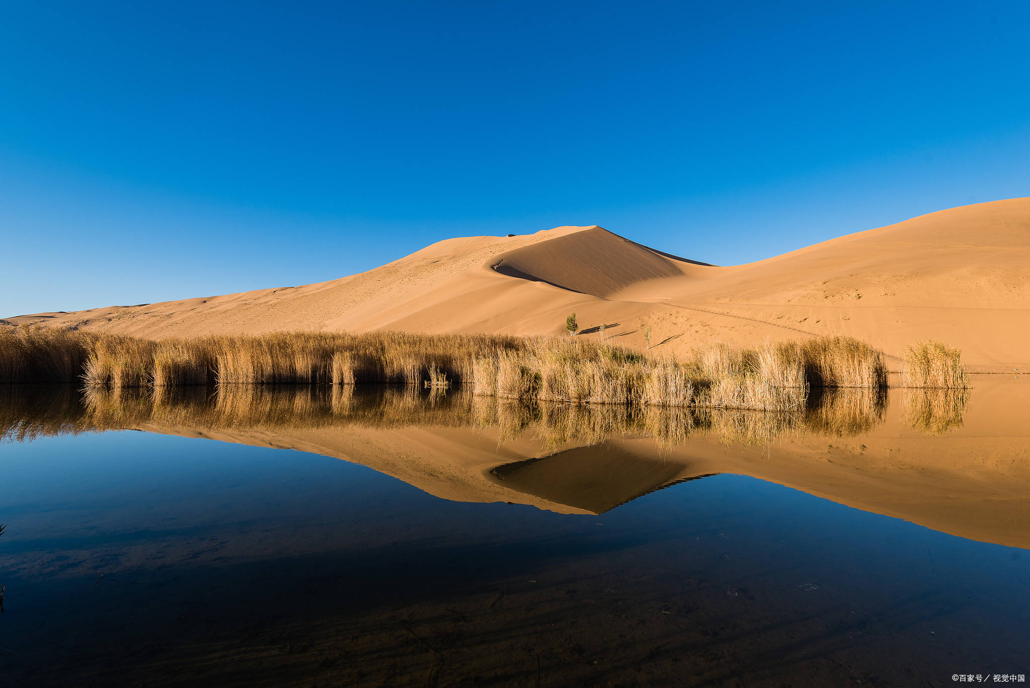 这些美食特点鲜美可口,让你享受正宗的宁夏味道.
