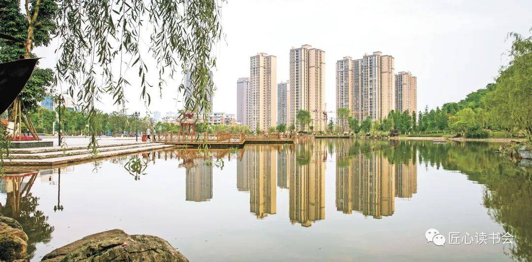 邻水黄桷树公园"夜晚x白天"两个版本 | 刘金(中国四川)_自然_广场