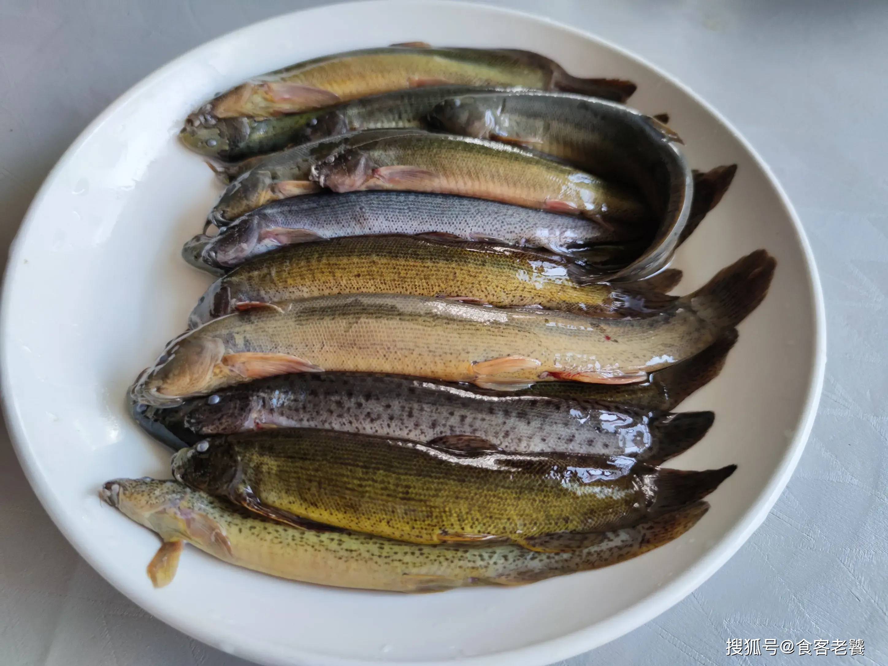 立秋到出伏,中老年人别太心疼钱,多吃4种肉,补全营养过秋天_泥鳅_时候