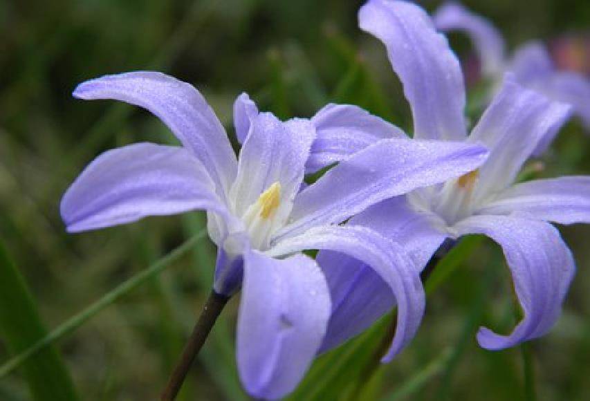 引人朋友圈里那些深思熟虑的经典名言,内涵很深,让我收获颇多_生活