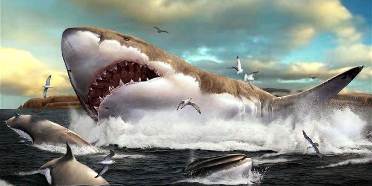 史前巨兽帝鳄,体长12米,咬合力达8吨,若遇到巨齿鲨,谁更强?