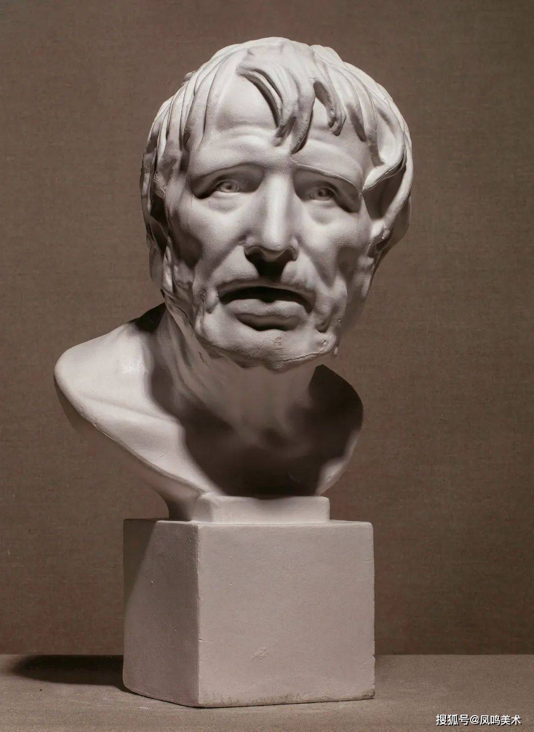 美术生必备素材丨146张无水印石膏头像高清照片_少女_罗马王_维纳斯