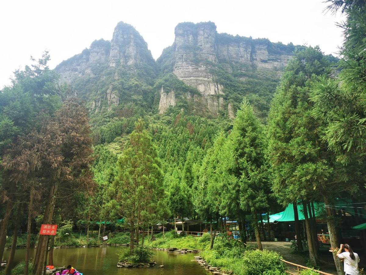 超治愈的夏日美好瞬间#睡佛山森林公园露营|寻找诗和远方_蒙迪欧