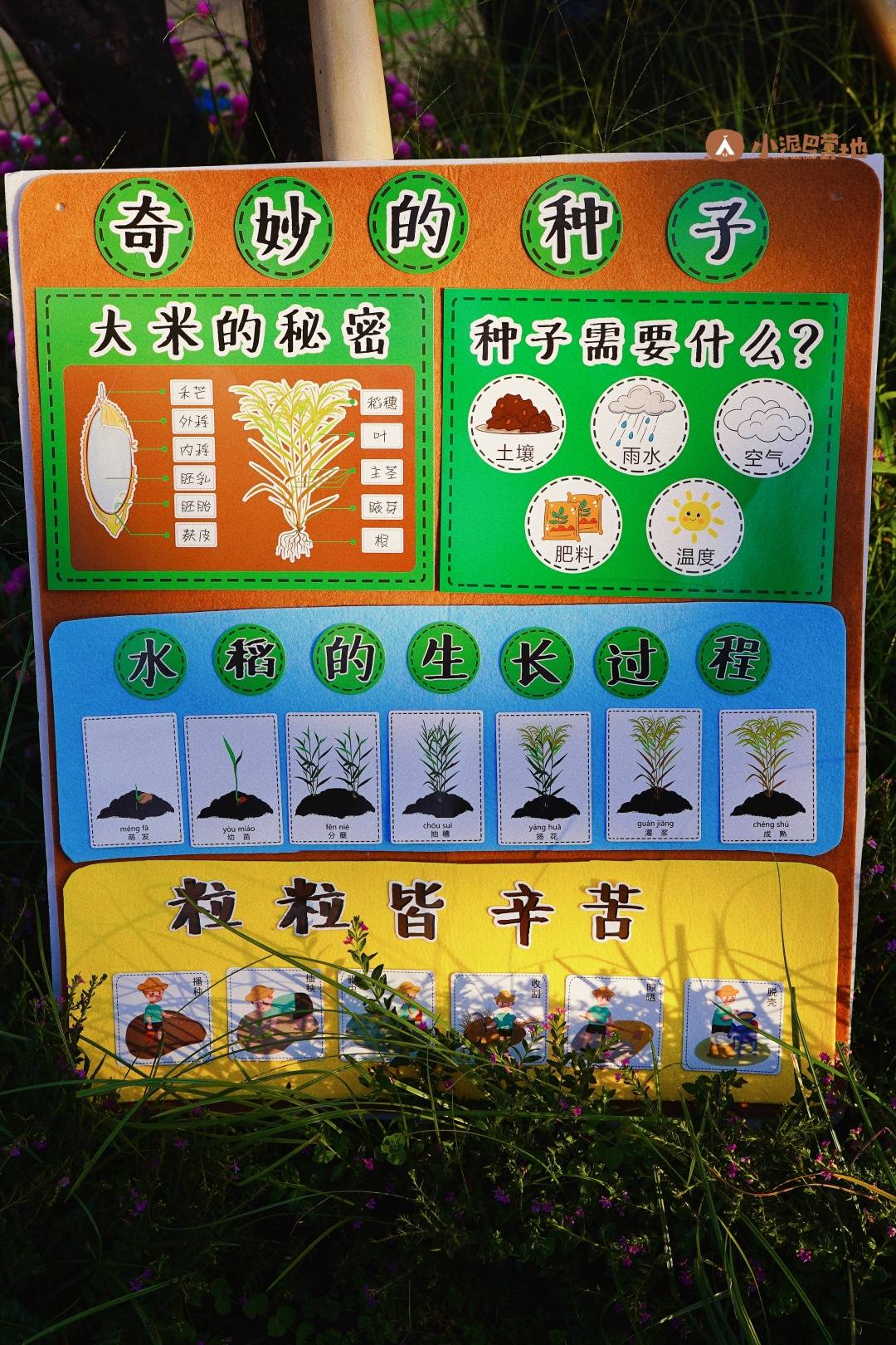 种子博物馆,种子吸水,挖土播种.深圳超好玩的自然玩学体验来啦!