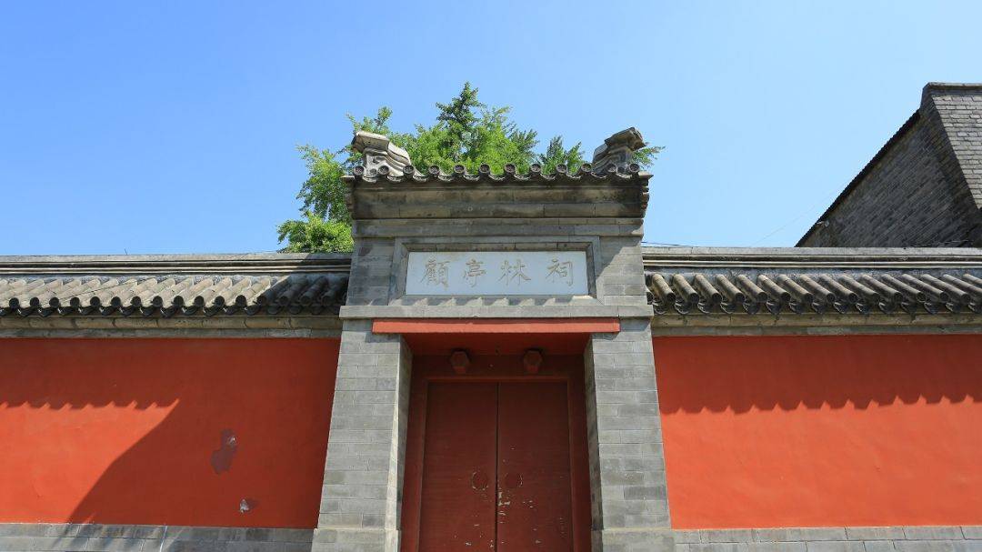 双树谡谡经行处,惟有祠堂傍夕晖——顾亭林祠古树_顾炎武_银杏_尊崇