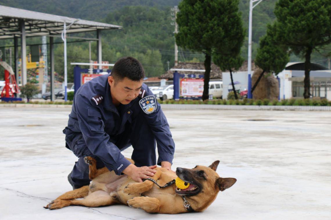 那里,还有这里,身上有点痒,给我挠挠赶紧帮我把小窝打扫干净哟汪汪