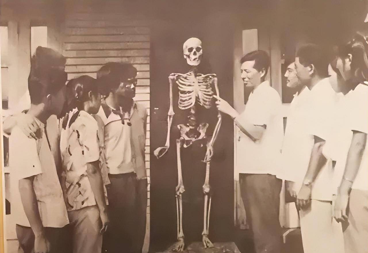 沈教授遗体做成的骨架标本李秉权到青岛医学院拜访参观期间,看到了