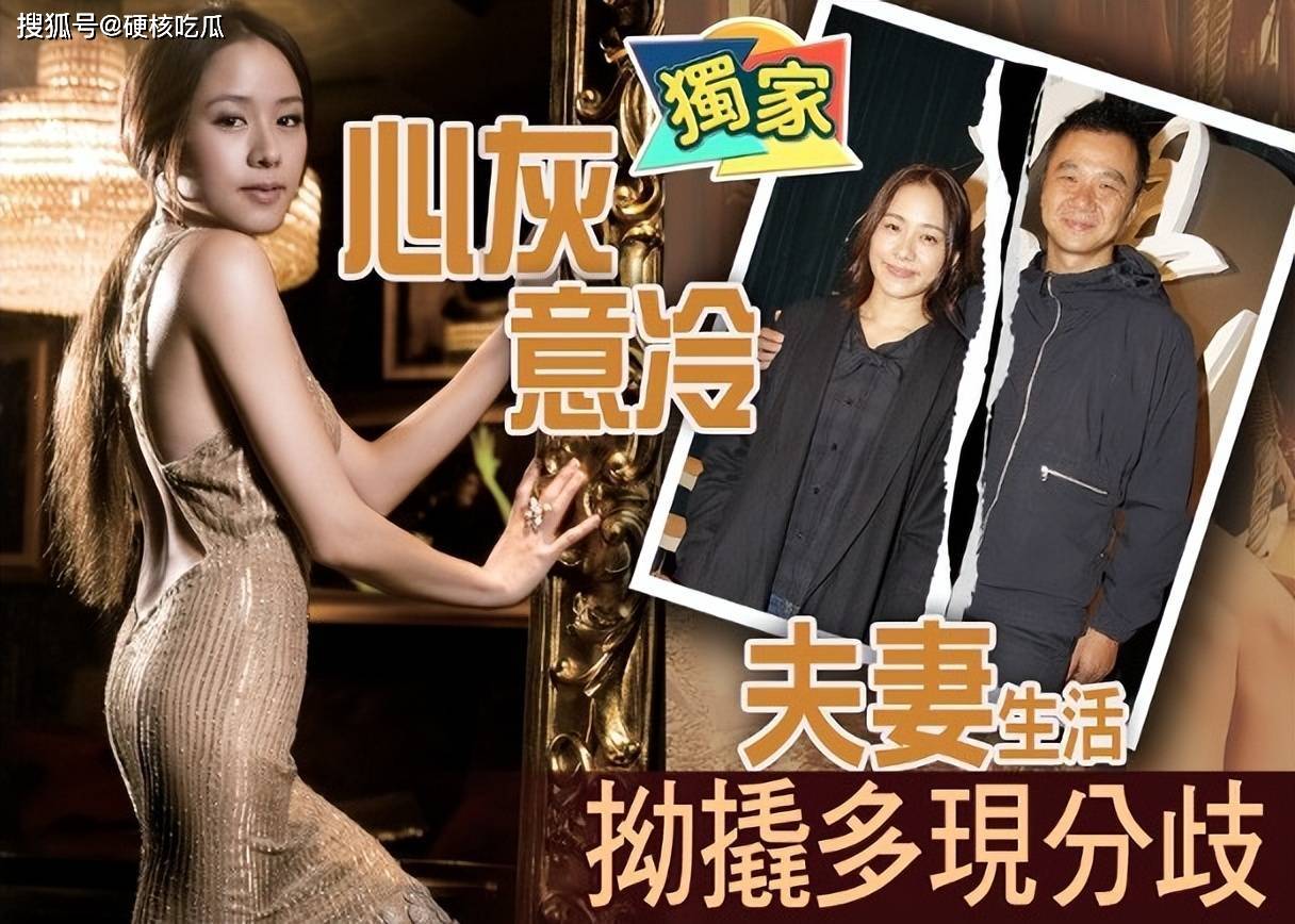 离婚大战一触即发,林嘉欣袁剑伟分手内斗,账目不清不楚_事业_老公