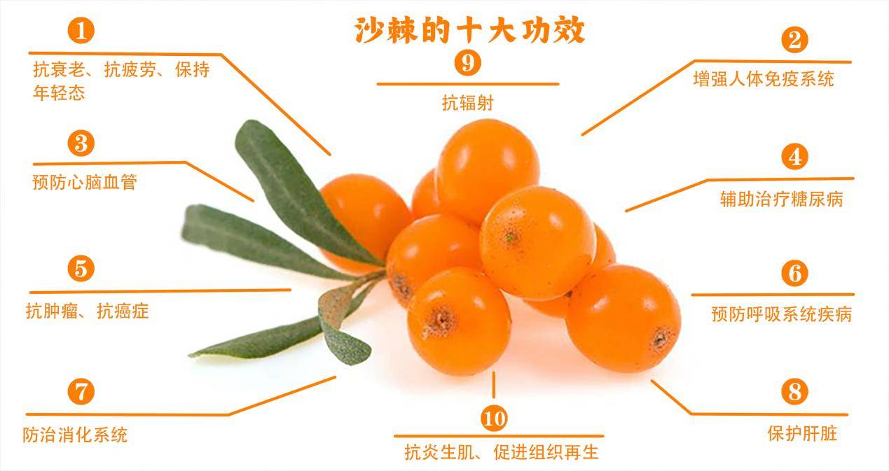 沙棘原浆多少钱一盒?(蒙小草沙棘原浆多少钱一盒)