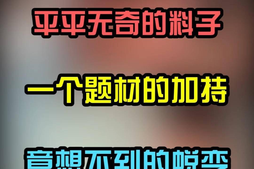 这个料子除了可以做飞马，还可以做飞虎