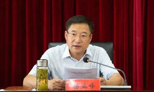 检察院起诉指控:被告人杨业峰利用担任广德县委副书记,旌德县委书记