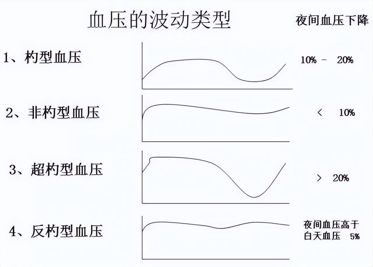 24小时血压规律图图片