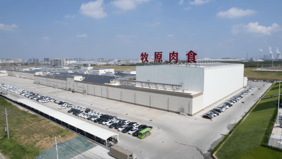 牧原股份抗周期能力强劲7月完全成本降至143元