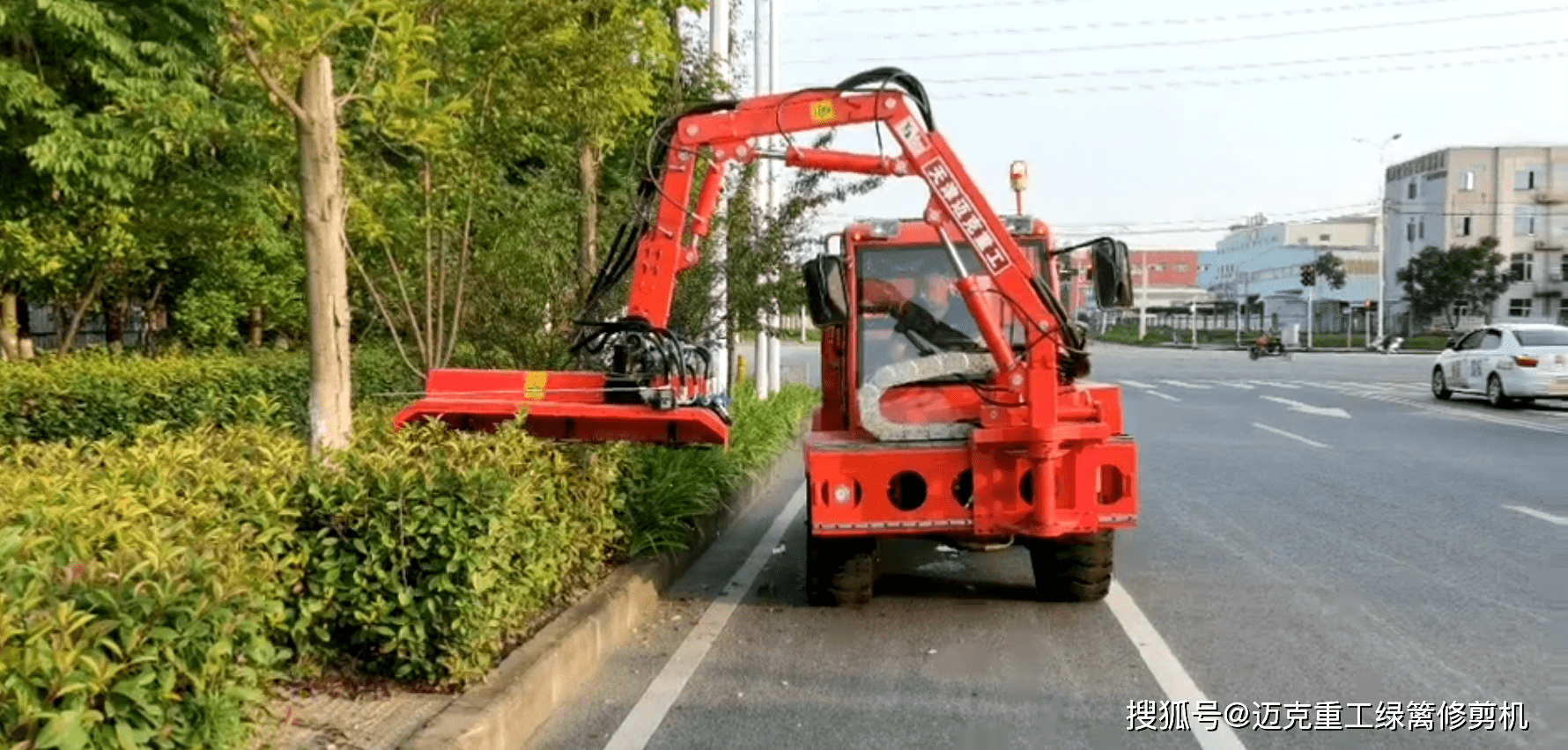 绿化修剪费用多少合适